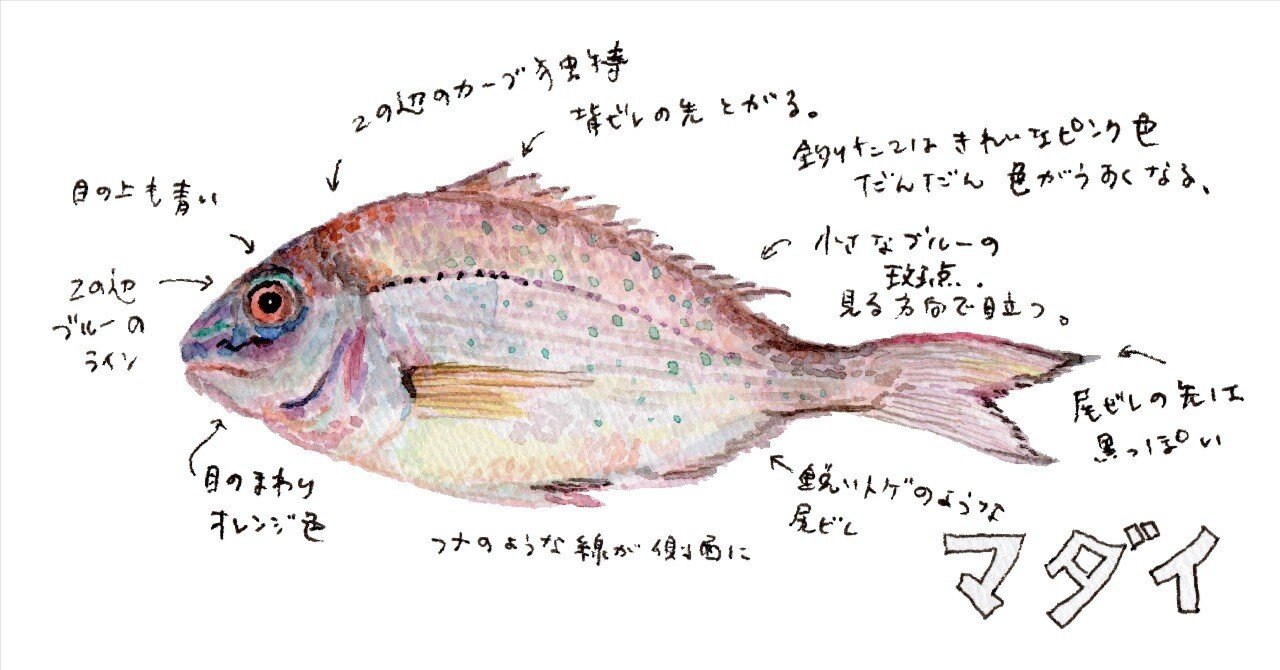 cd0617614bd7a274e35c52282c2aa5