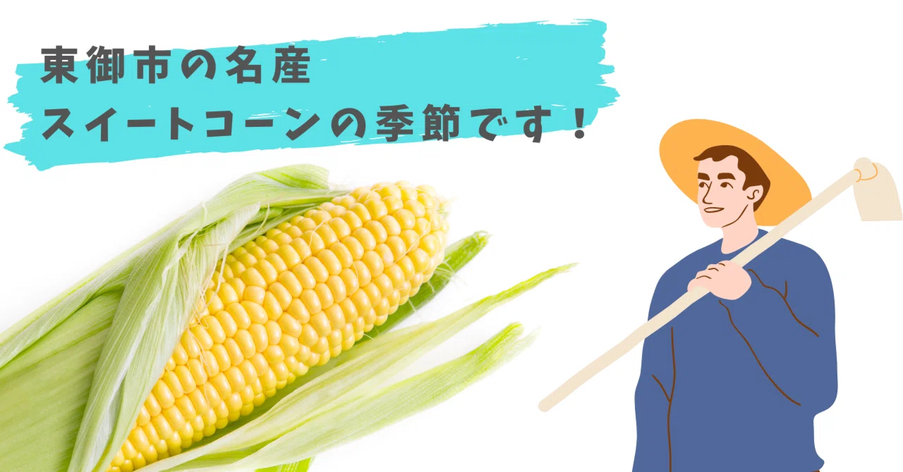 東御市の名産 スイートコーンの季節です 長野県東御市 公式