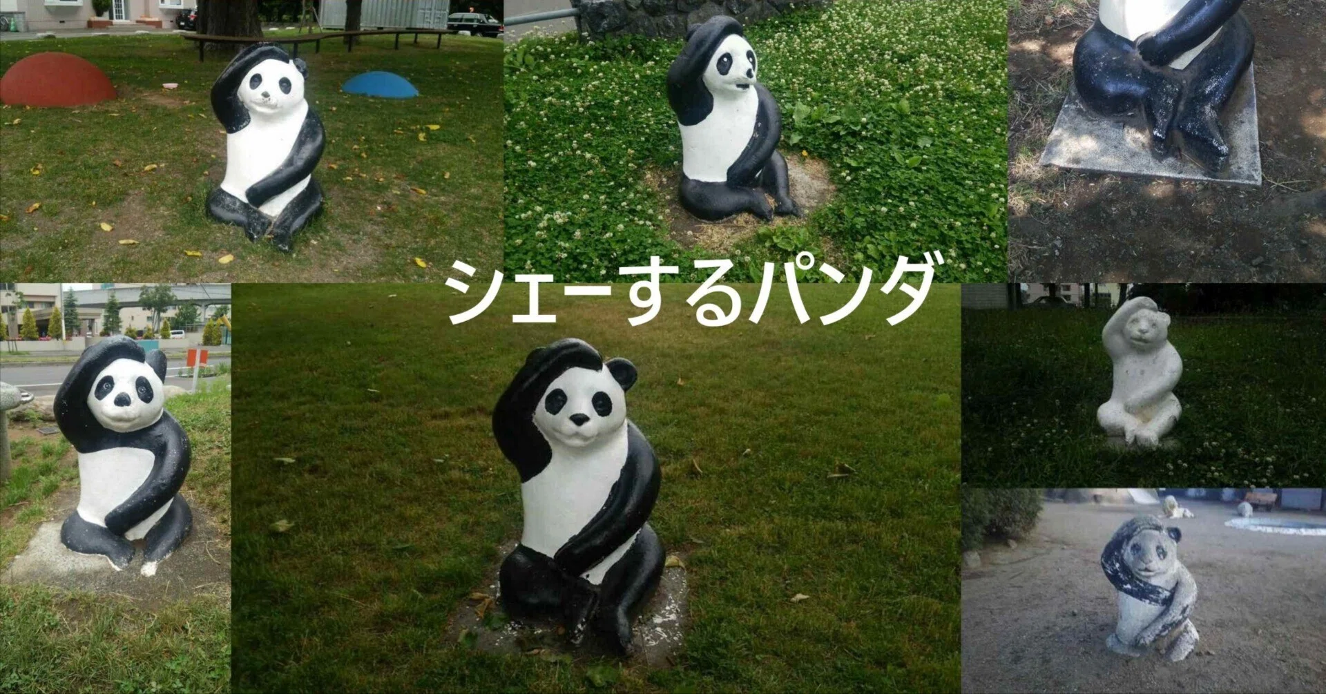 シェーするパンダ｜roadexplorer