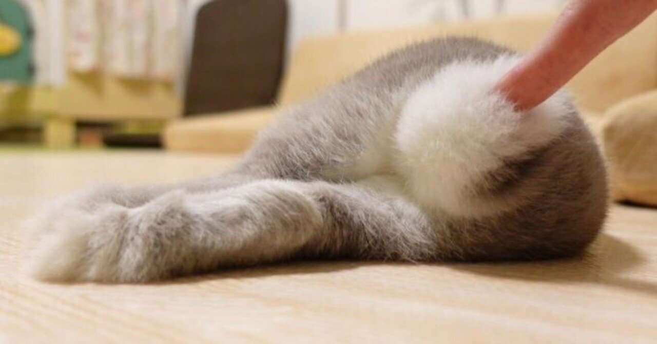 可愛いにもほどがある しっぽ編part Sumomo Note 可愛いにもほどがある しっぽ編part Sumomo Note