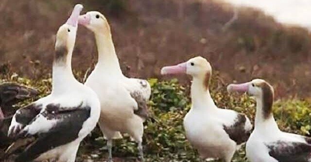 356b48160a26027fd37c2ad223d9c6