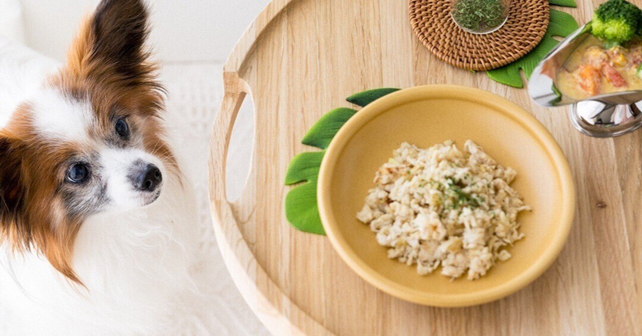 スパイス不使用 夏野菜のスープカレー風犬ごはん 月額限定 手作り犬ごはんレシピ いちかわあやこ 犬ごはん先生 Note