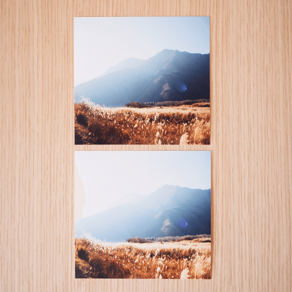 写真をプリントするときは写真屋さんの現像で遊んでみよう②｜写真の