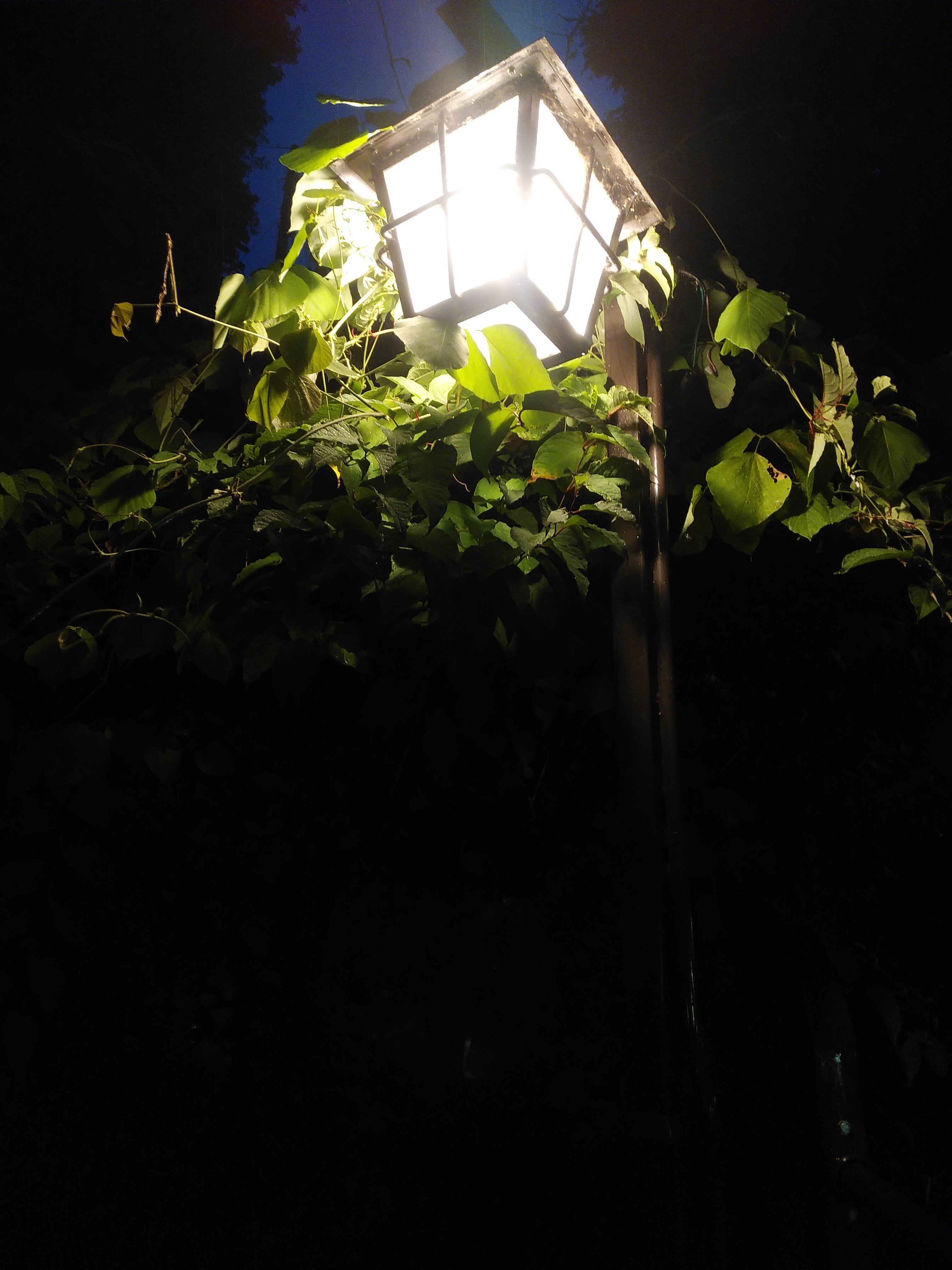土曜の夜 の新着タグ記事一覧 Note つくる つながる とどける 土曜の夜 の新着タグ記事一覧 Note つくる つながる とどける