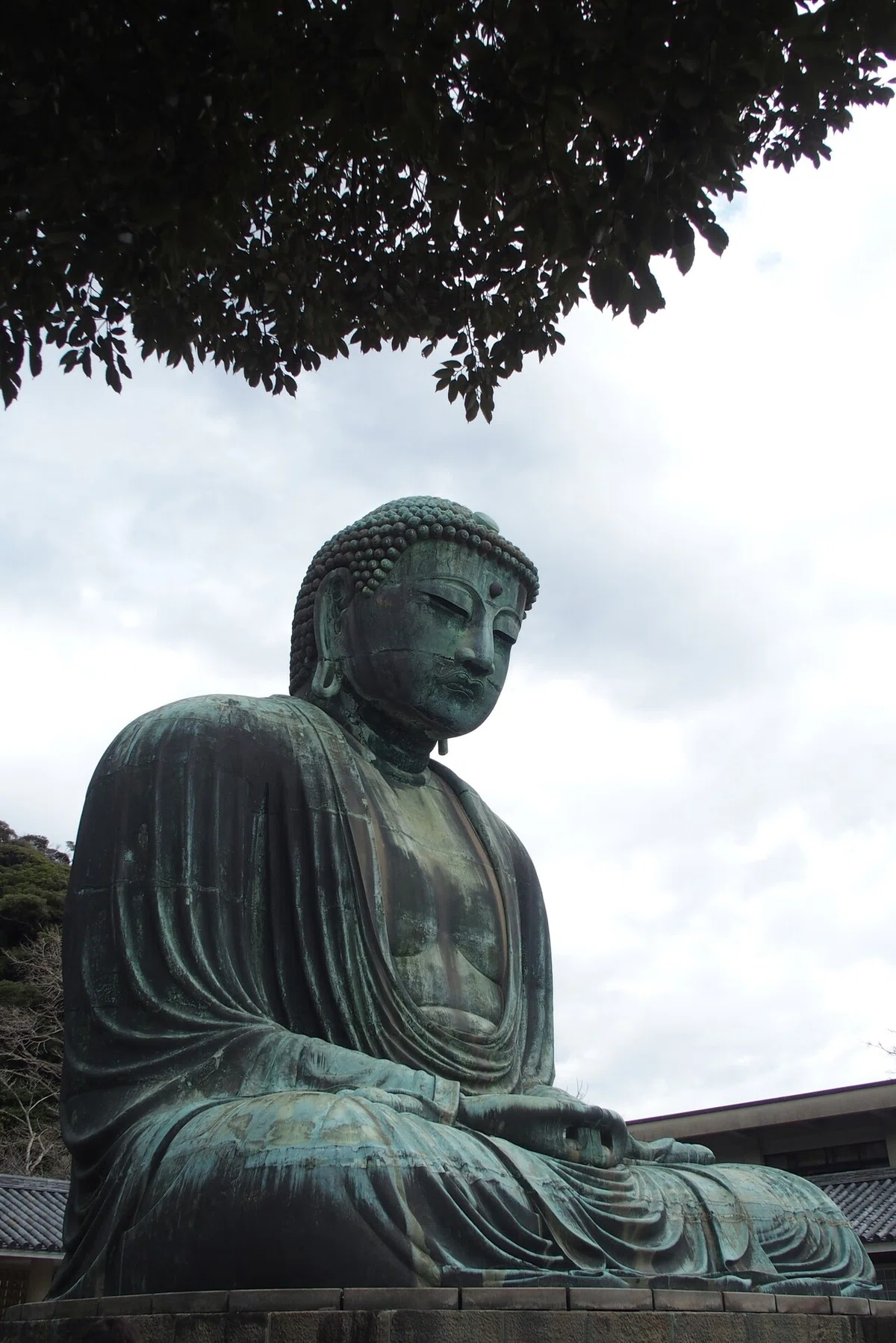 画像18