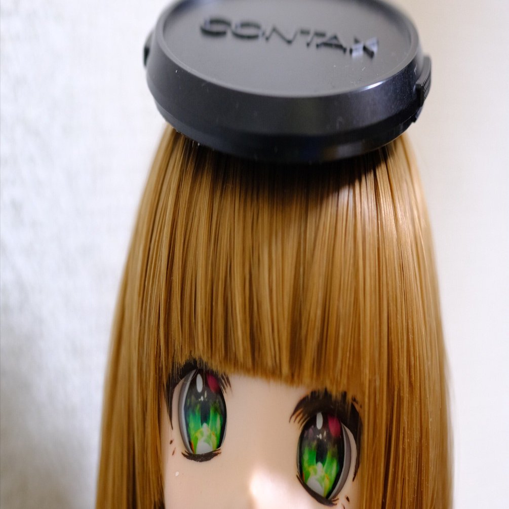 Carl Zeiss S-Planar 60mm f/2.8 AEGを身勝手に評する（虫注意）｜う