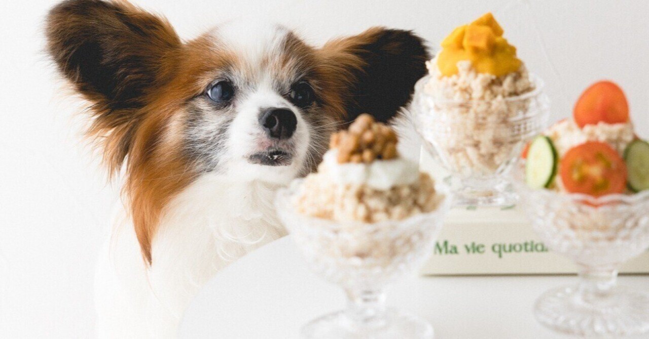 冷凍不要 ひき肉で作る3つの味のかき氷風 犬おやつ 手作り犬おやつレシピ いちかわあやこ 犬ごはん先生 Note
