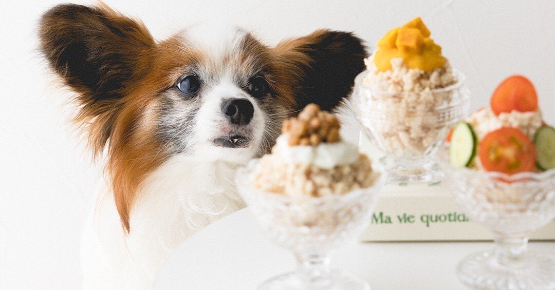 冷凍不要 ひき肉で作る3つの味のかき氷風 犬おやつ 手作り犬おやつレシピ 単品購入 いちかわあやこ 犬ごはん先生 Note 冷凍不要 ひき肉で作る3つの味のかき氷風 犬おやつ 手作り犬おやつレシピ 単品購入 いちかわあやこ 犬ごはん先生 Note