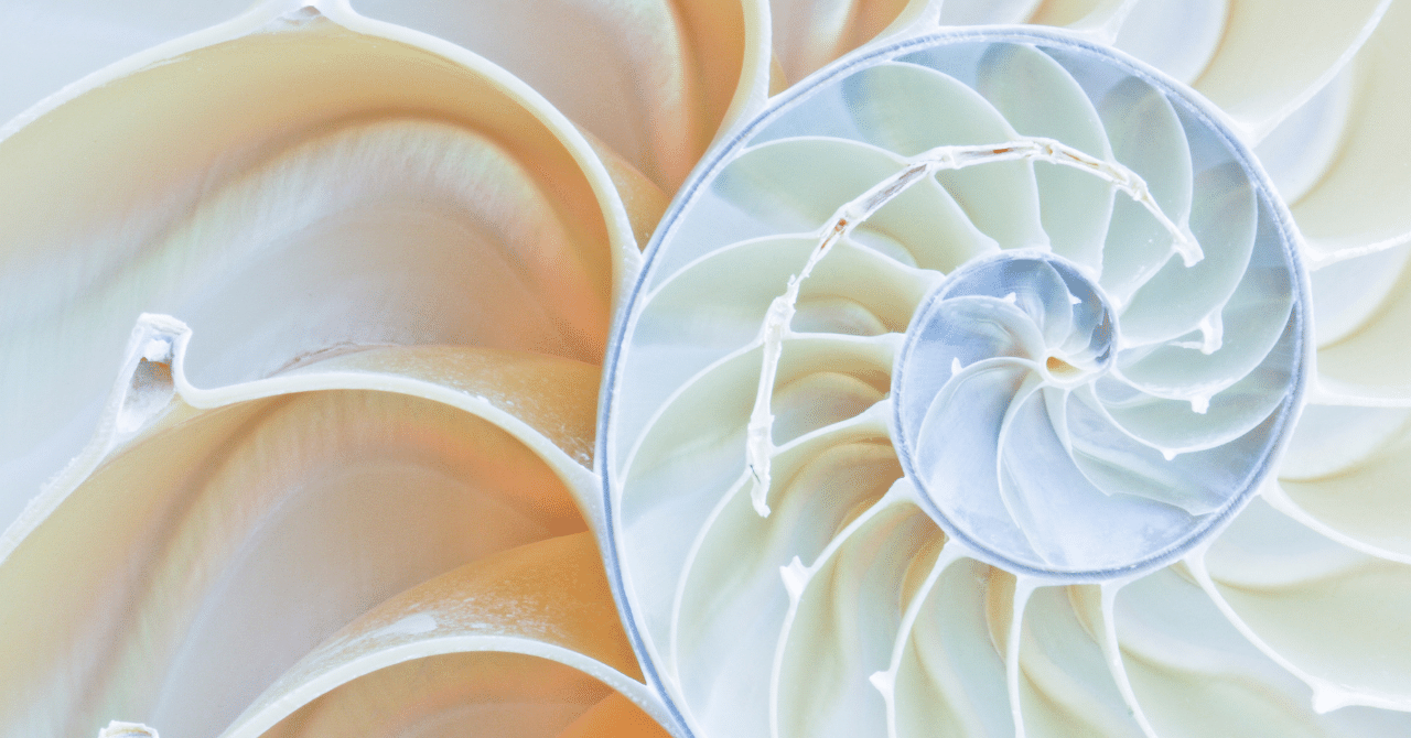 Pythonでアルゴリズム シェル ソート 1 ひと工夫で 挿入ソート が加速する 松井真也 Nocoder Glider Note