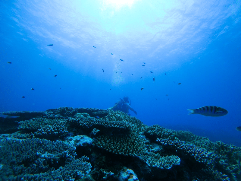 この夏も僕は海で遊ぶアウトドアでたのしむ 真木崇志 Note この夏も僕は海で遊ぶアウトドアでたのしむ 真木崇志 Note