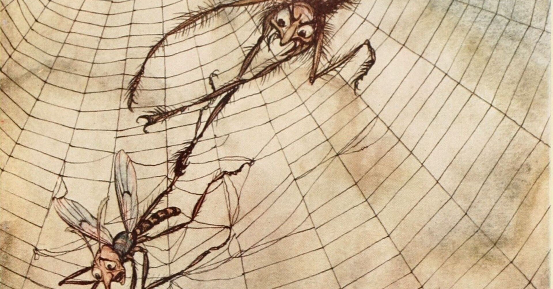 蜘蛛に噛まれる 高井翔太 Note 蜘蛛に噛まれる 高井翔太 Note