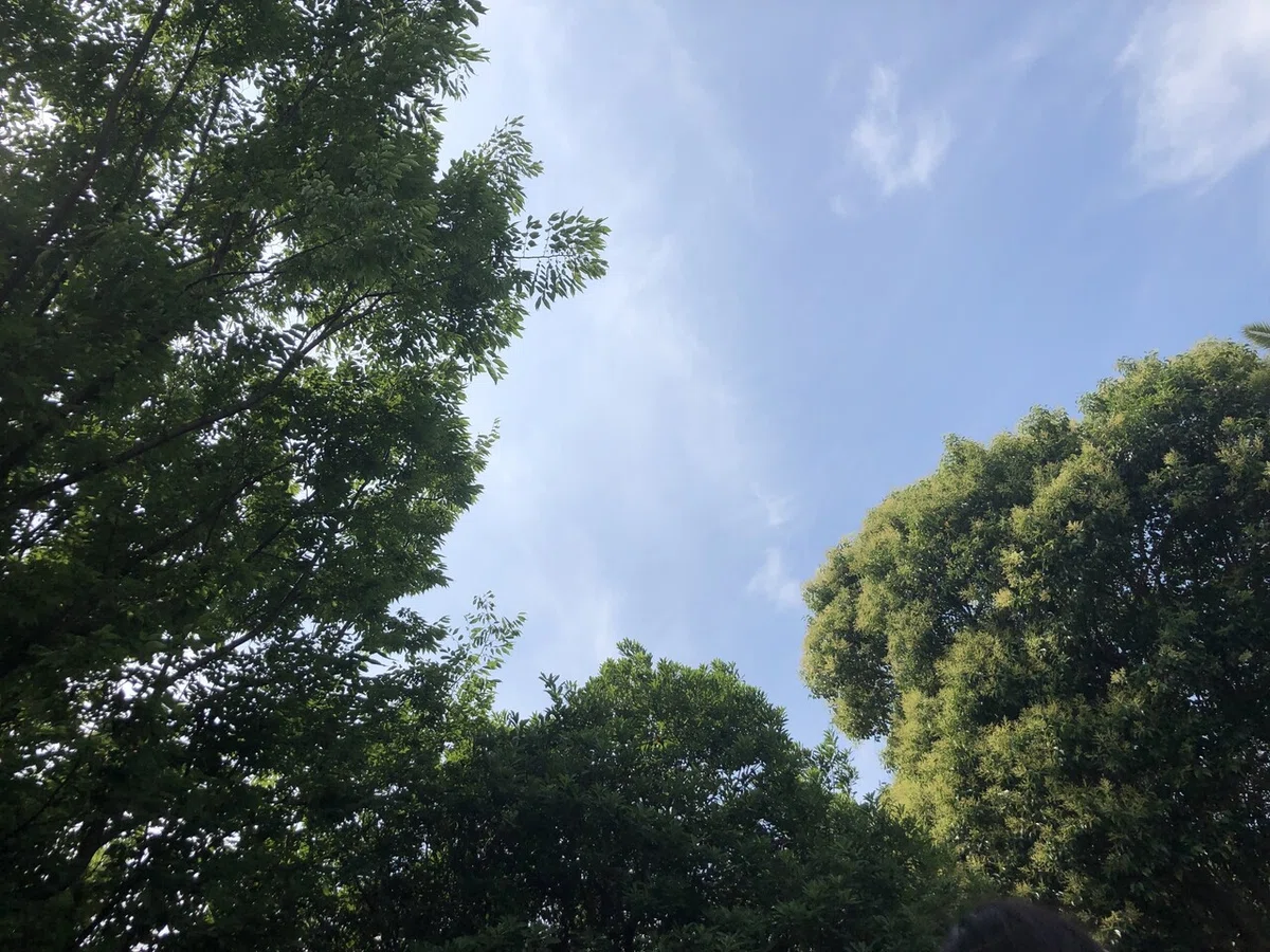 画像9