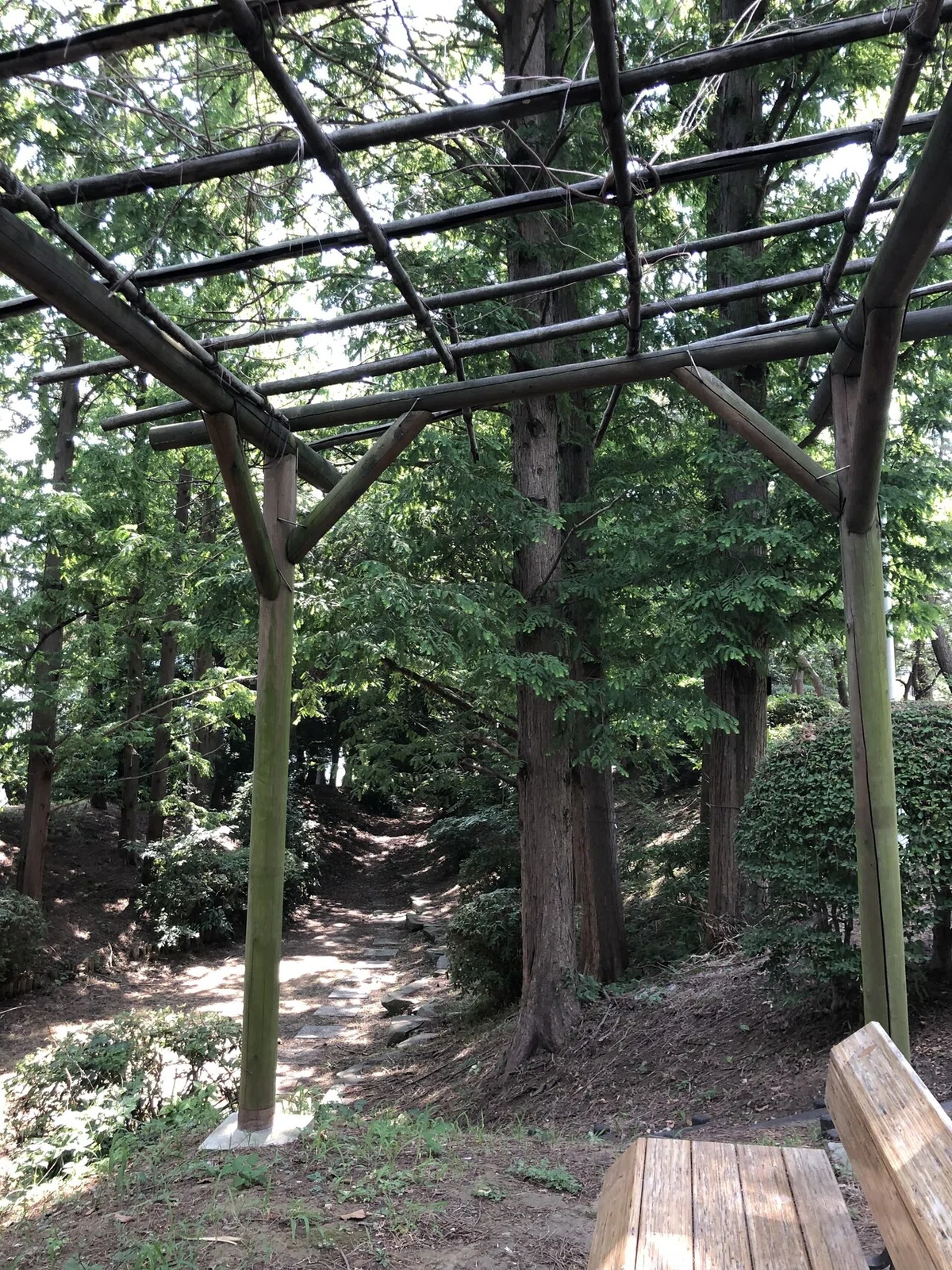 画像11