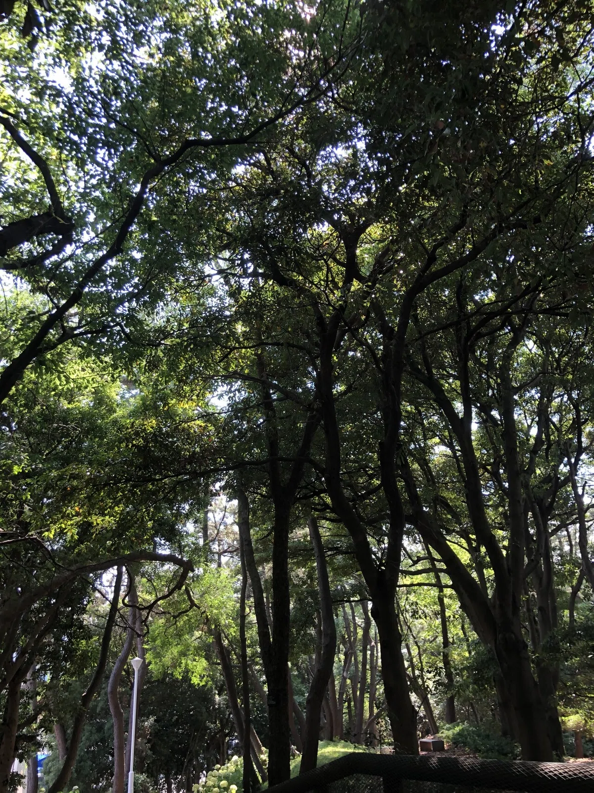 画像12
