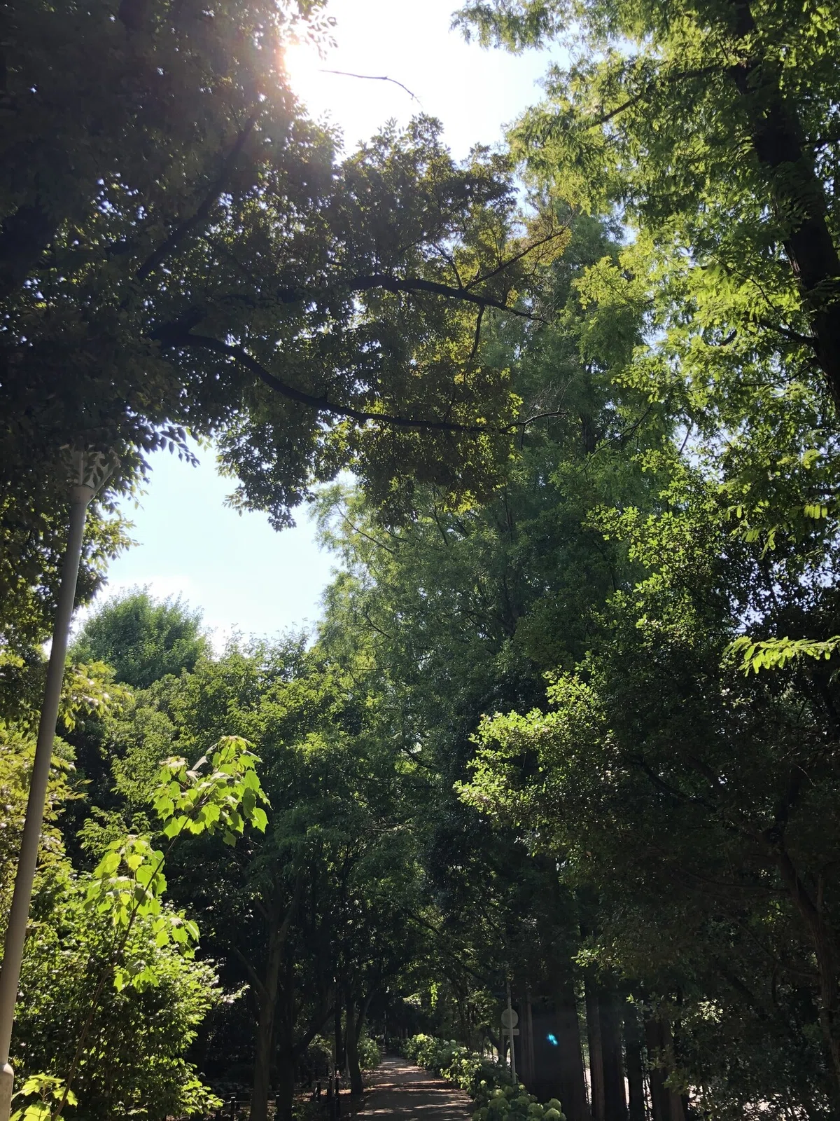 画像13