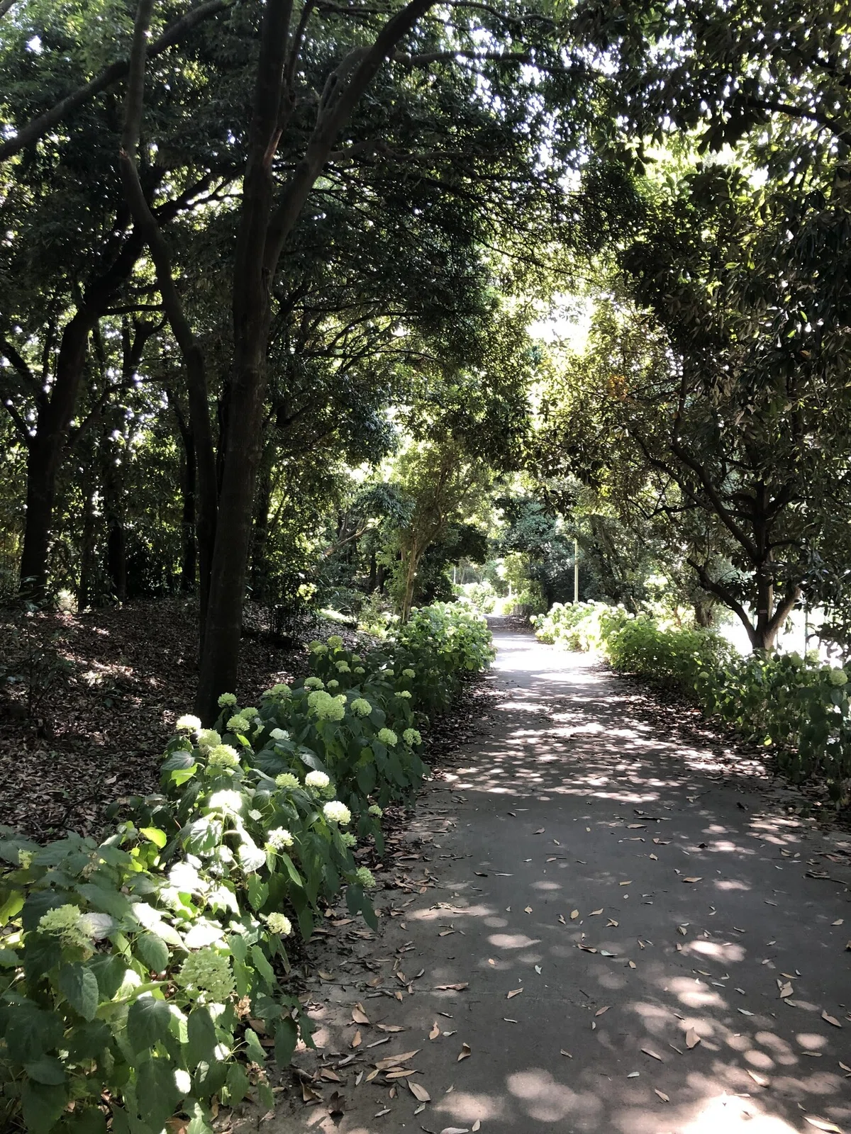 画像14