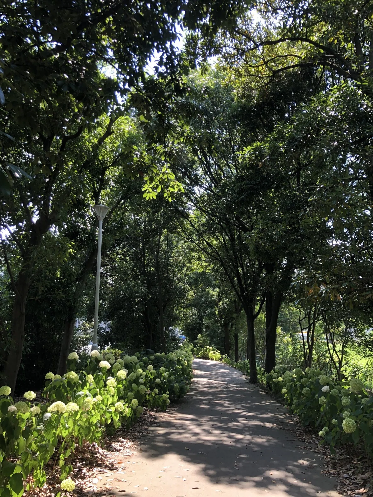 画像15