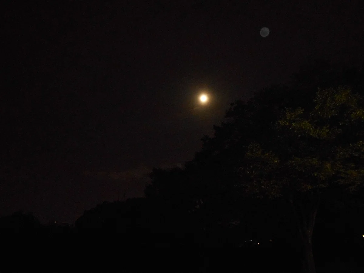 画像20