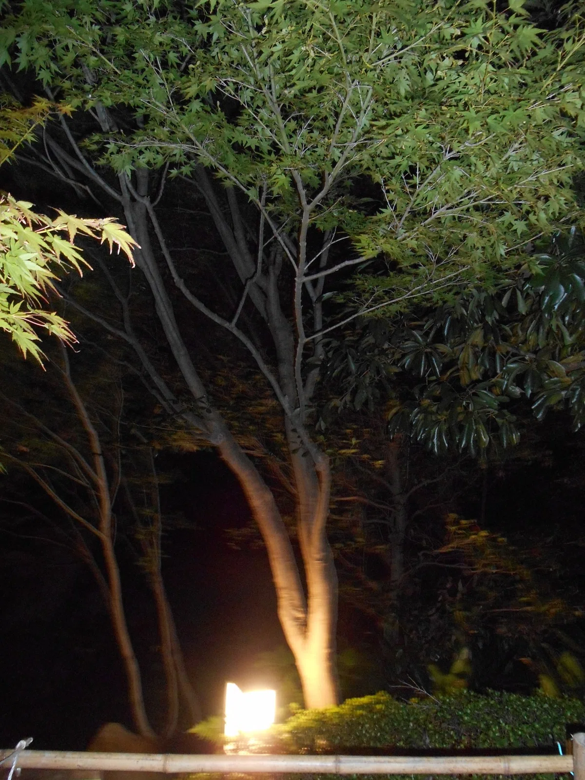 画像25