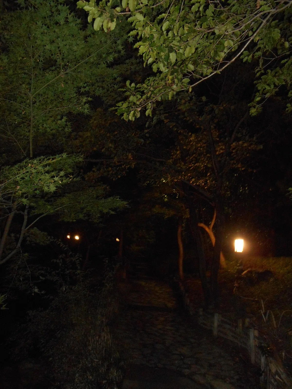 画像27