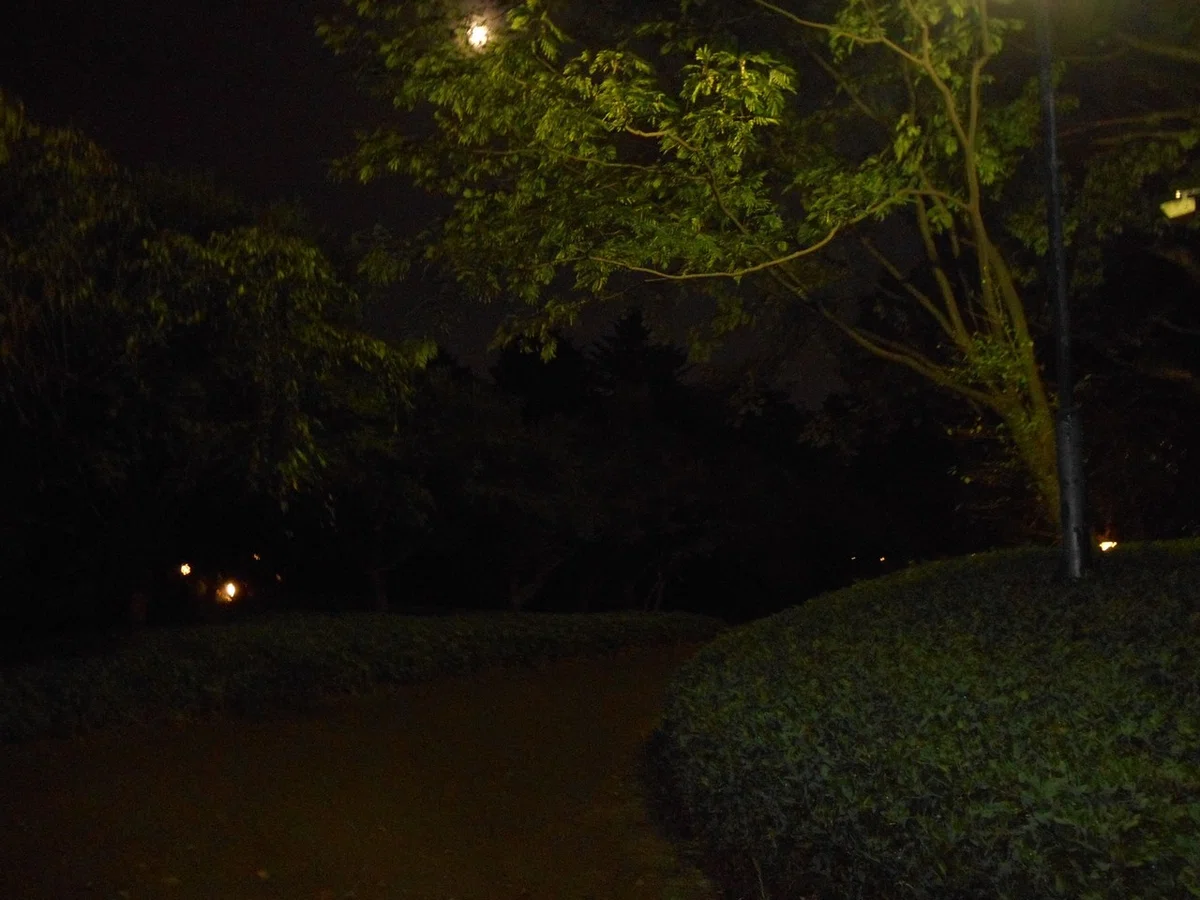 画像29
