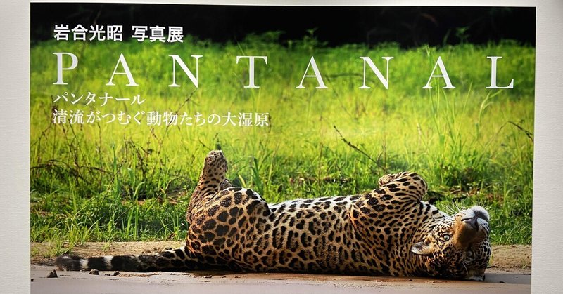 岩合光昭 写真展「PANTANAL」に行った