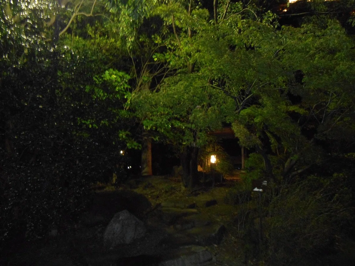 画像32