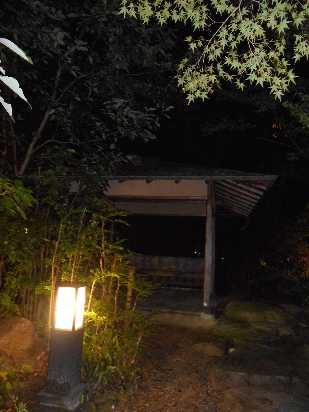 画像33
