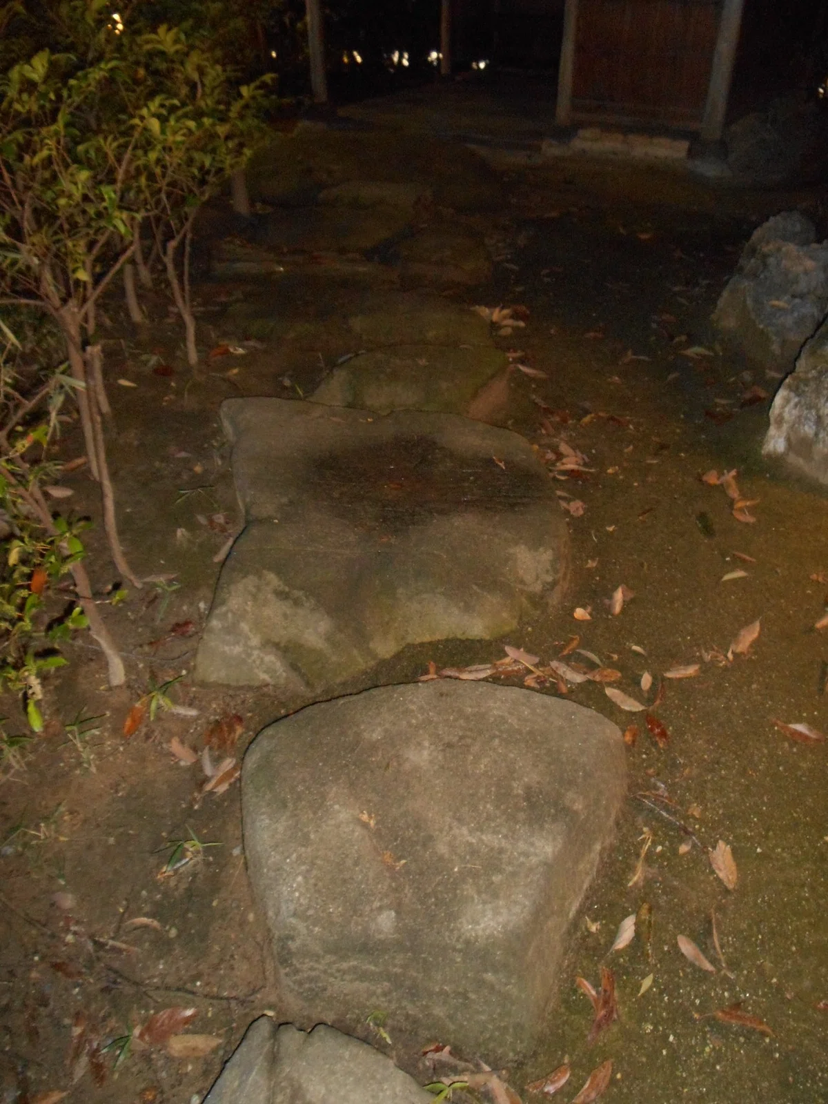 画像36