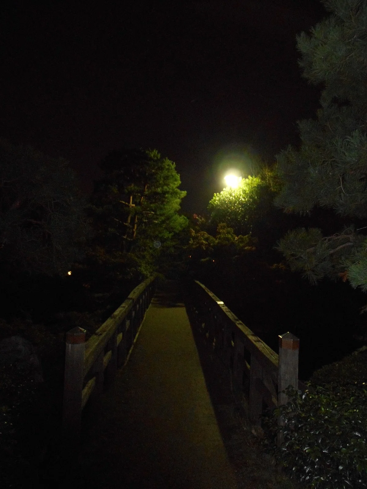 画像40