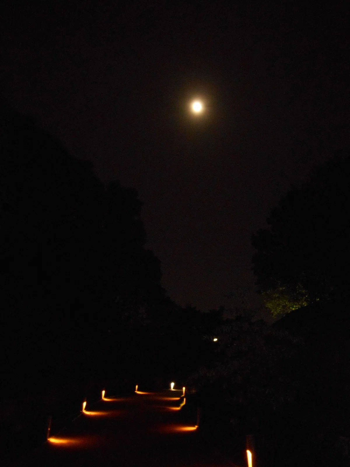 画像46