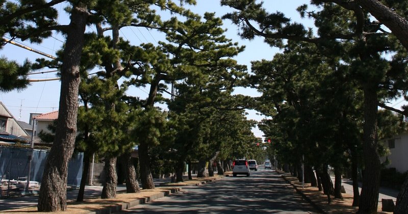 浜松宿は東海道の中でも規模の大きな宿場だった！