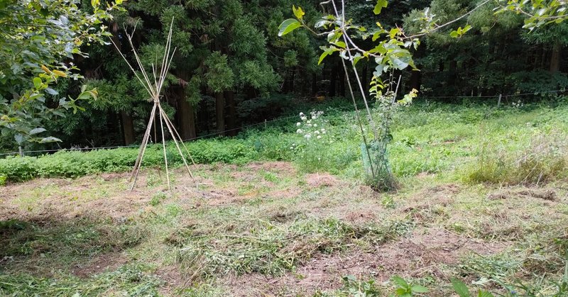 マンダラガーデン草刈と種蒔き