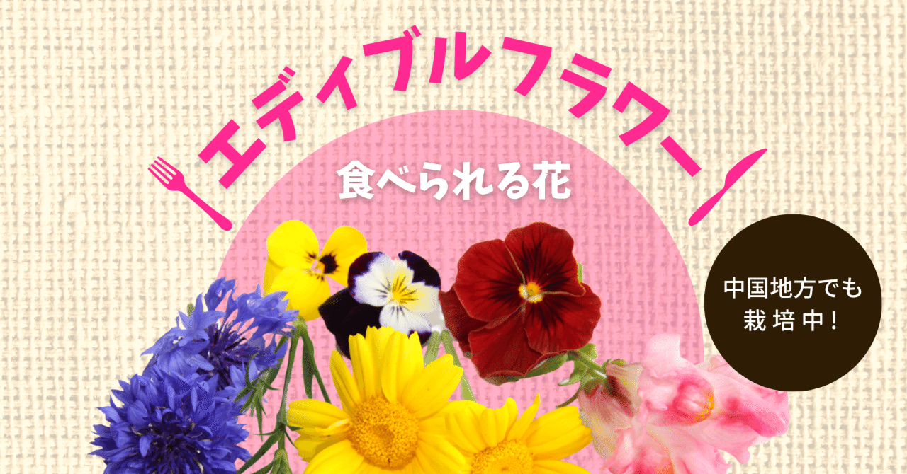 少し加えるだけで華やかな気分 エディブルフラワー 中国地方に専門