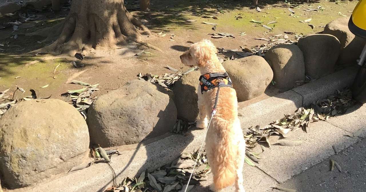 都内中古一戸建てを内覧 しましま Note