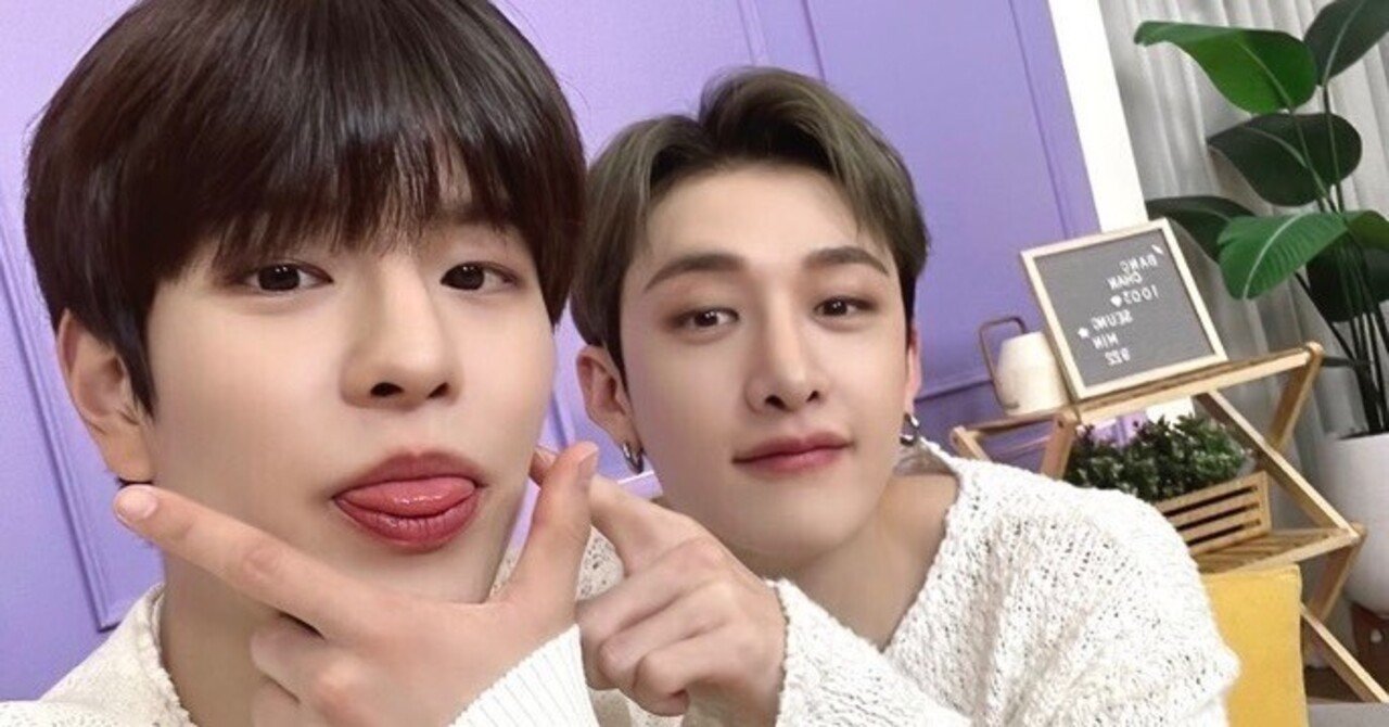 チョンダムズ🐺🐶(バンチャン✖️スンミン)｜はんこ。