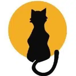 Cat007🐱🌈
