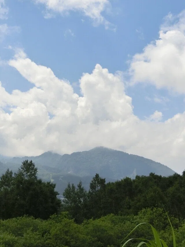 新野 元基｜note