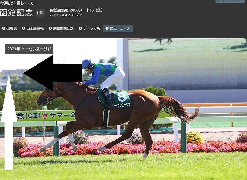 Codoc 函館記念 福島テレビオープン 博多ステークス22サイン予想記事 函館記念の画像とjraオリジナル壁紙カレンダー 7月 からのサイン考察 コードク