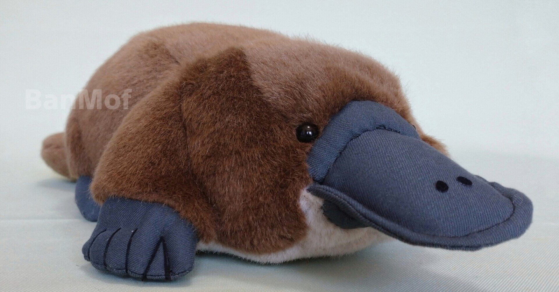 BanMof 作家様 カモノハシ ぬいぐるみ ハンドメイド BLOG | ぬいぐるみのBanMof | ばんばぱえりあ