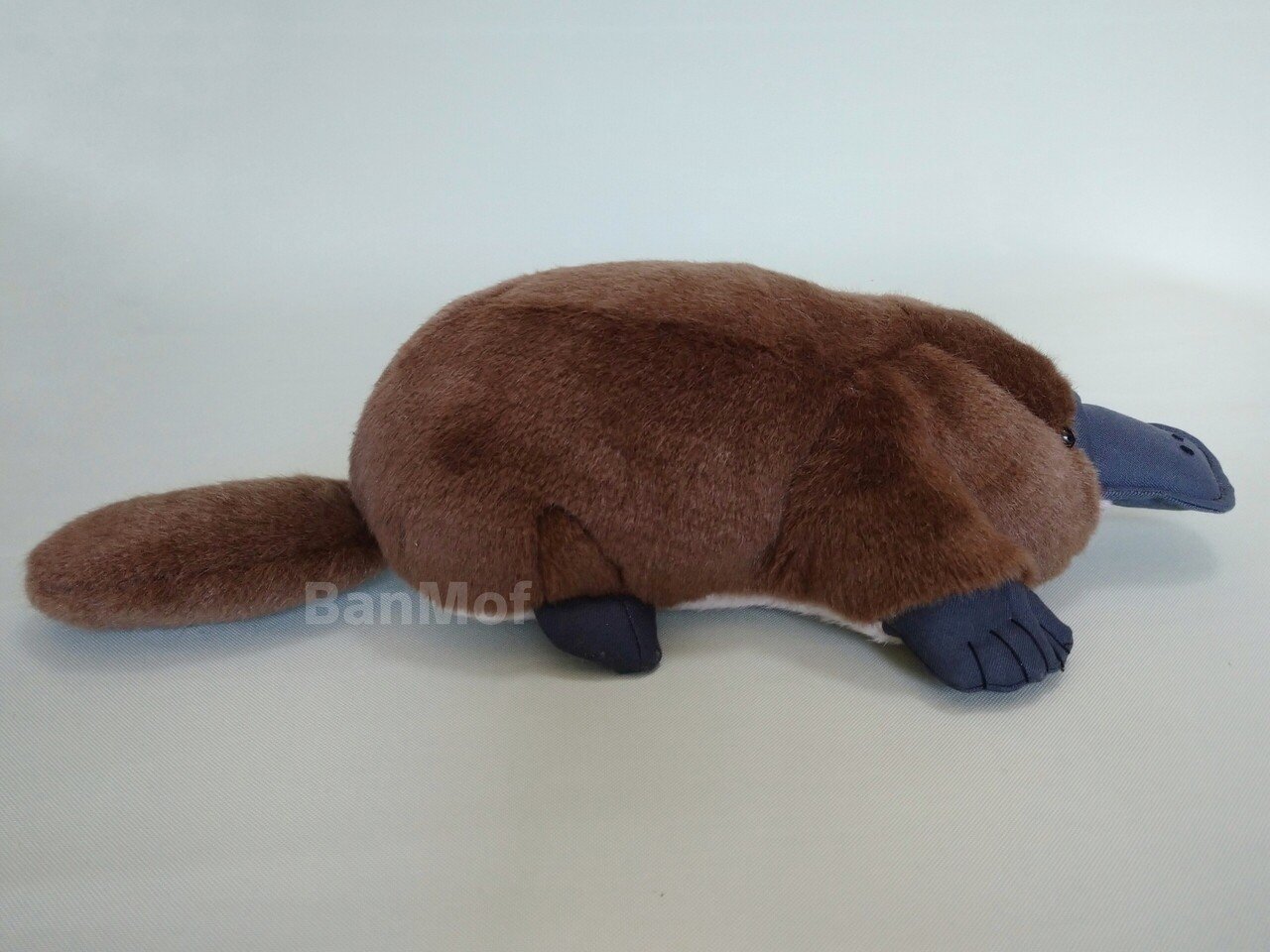 造形とぬいぐるみと縫い目と｜ばんば ぱえりあ