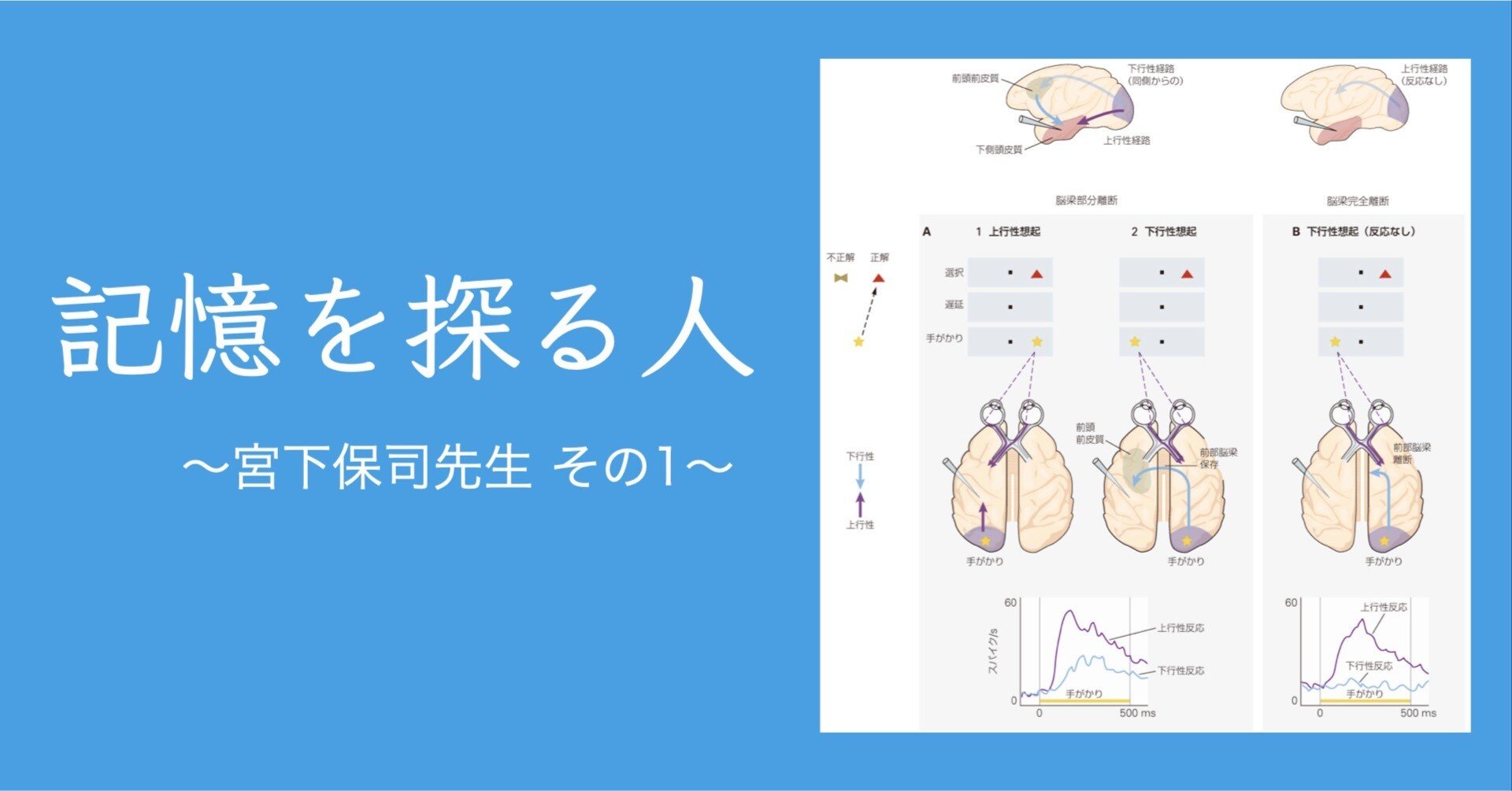 記憶を探る人 ── 宮下保司先生 その1｜MEDSiの生命科学系書籍