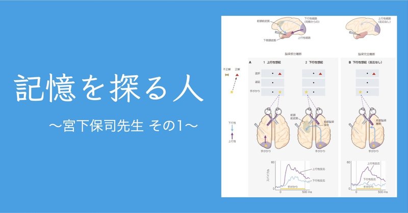 カンデル神経科学|MEDSiの生命科学系書籍|note