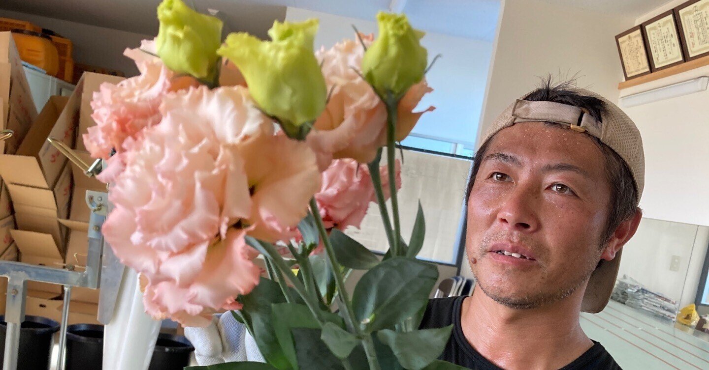 トルコキキョウの品種が増えてきて Jaうご公式note なぇんもねんしども Note トルコキキョウの品種が増えてきて Jaうご公式note なぇんもねんしども Note