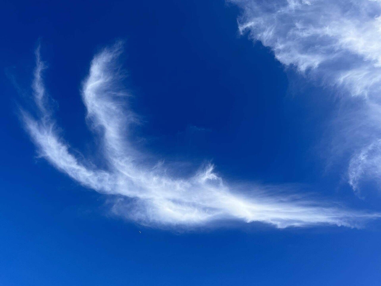 空に龍雲、鳳凰雲をみた話｜心の理論