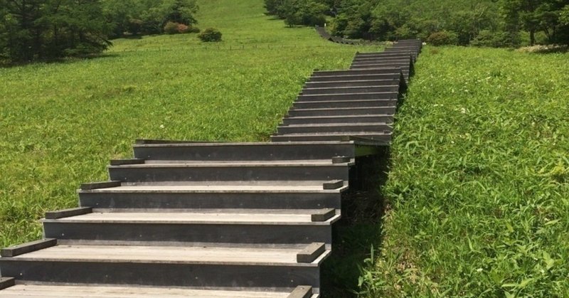 いつもと違う足から階段を降りるのは難しいという話と 文章に関するちょっとした余談 椿 Tsubaki Note いつもと違う足から階段を降りるのは難しいという話と 文章に関するちょっとした余談 椿 Tsubaki Note