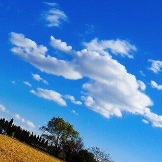 上瀬谷の未来を考えよう会