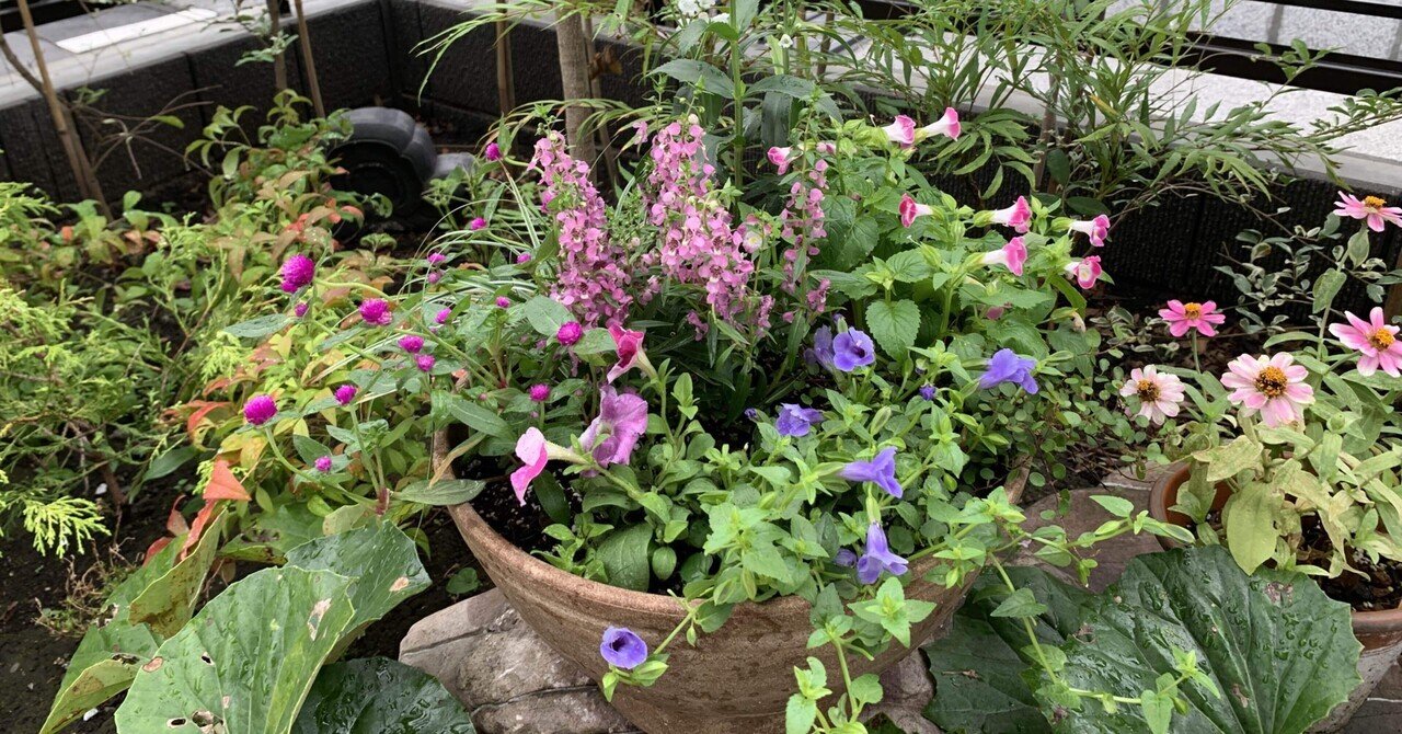 誕生日とお盆の入り シラちゃん Note 誕生日とお盆の入り シラちゃん Note