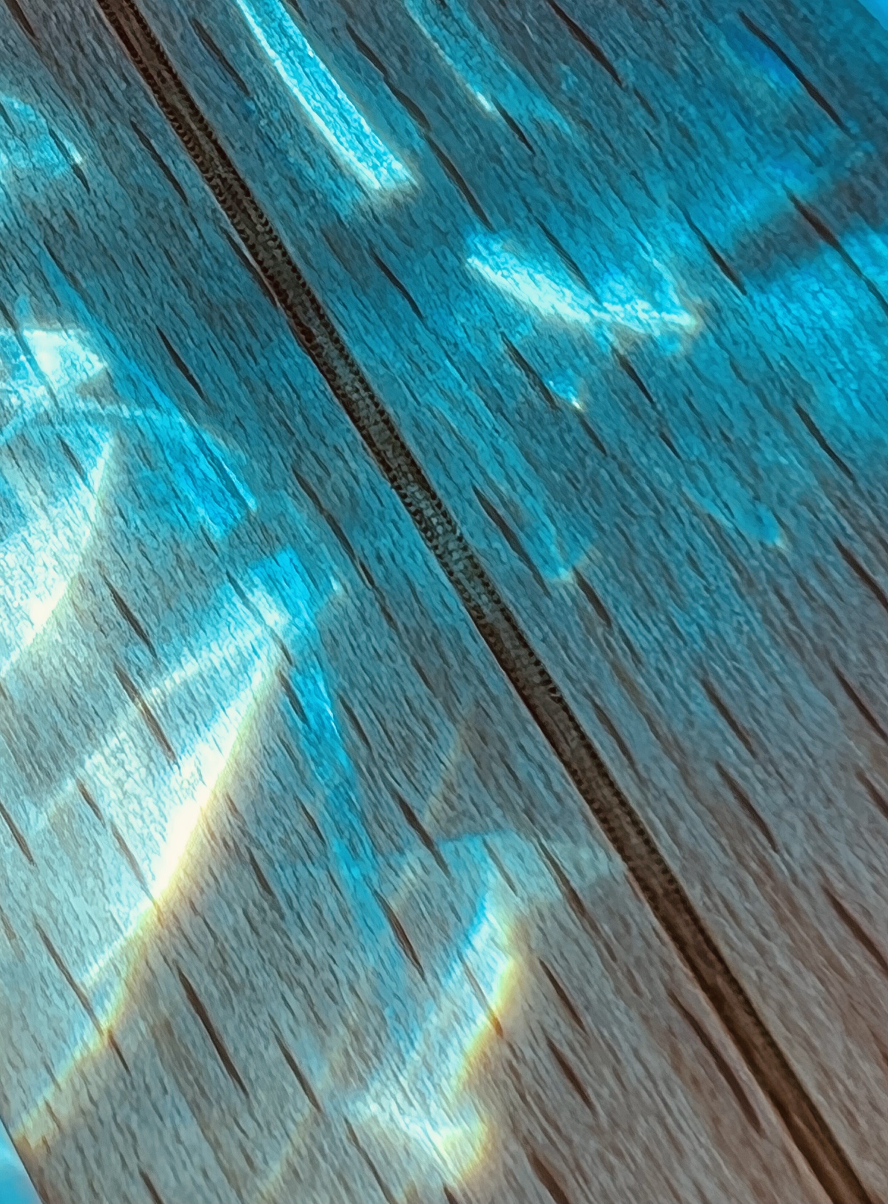 涼しげな写真 の新着タグ記事一覧 Note つくる つながる とどける