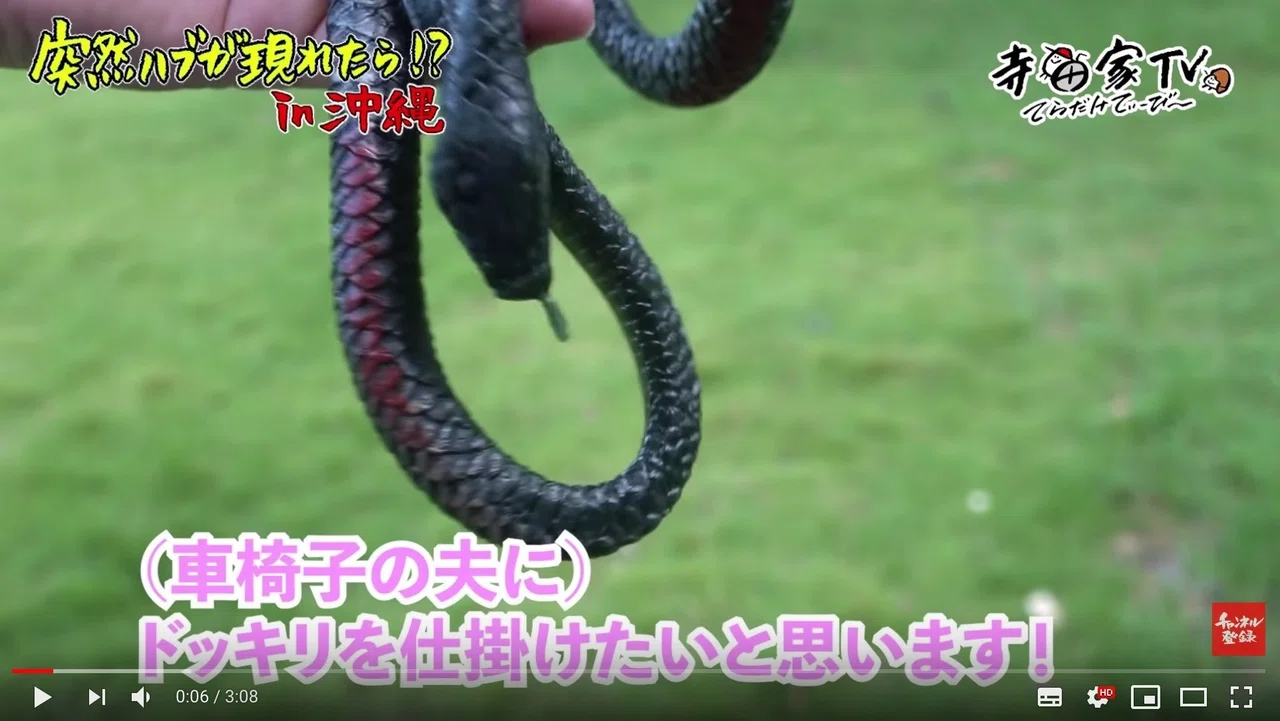 寺田家TV 『車椅子の夫にドッキリを仕掛けてみたwww in沖縄』という 
